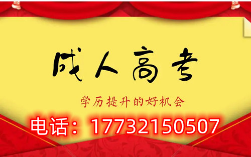 干貨！備考必讀，成考不踩雷！