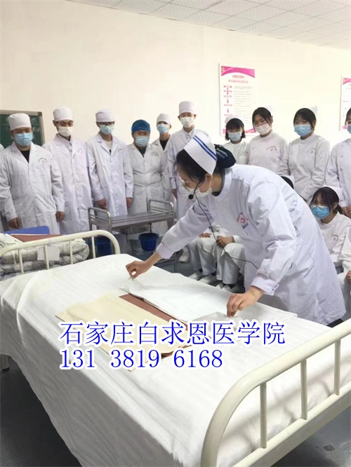 河北對口高考和對口單招有什么不同？