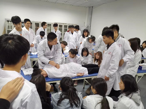 石家莊冀聯(lián)醫(yī)學中專學校中醫(yī)專業(yè)升學可以考哪些學校？