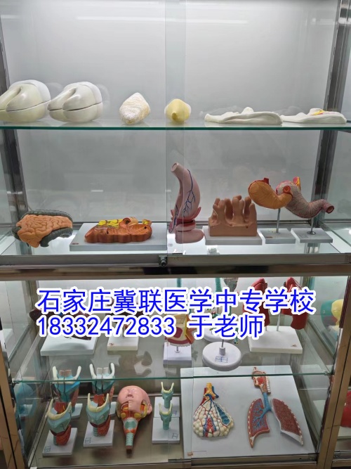 石家莊冀聯(lián)醫(yī)學(xué)中專學(xué)校護理學(xué)習(xí)什么？接觸解剖嗎？